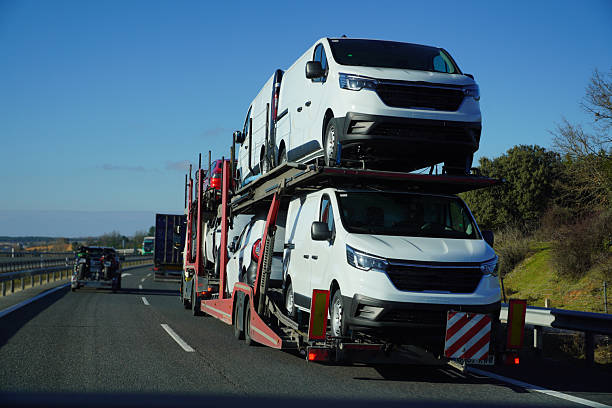 A car transporter truck, part of an FL Car Shipping Tallahassee fleet, carries several white vans on a highway under a clear blue sky, with trees and other vehicles in the background.