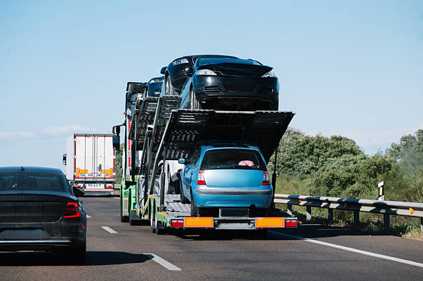 A car carrier truck transports several cars on a highway, showcasing the efficiency of FL Car Shipping Tallahassee services. Trees and a guardrail line the road, while other vehicles are visible driving nearby under a clear blue sky.